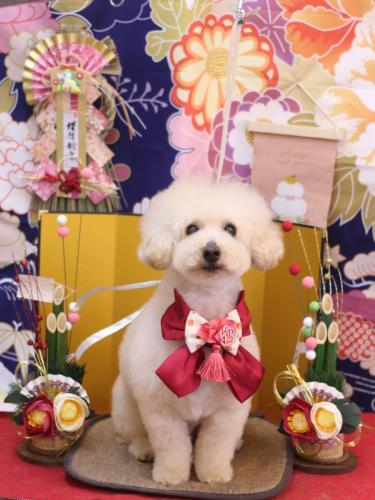 20240131こじろうくん